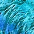 Texture FAA 002